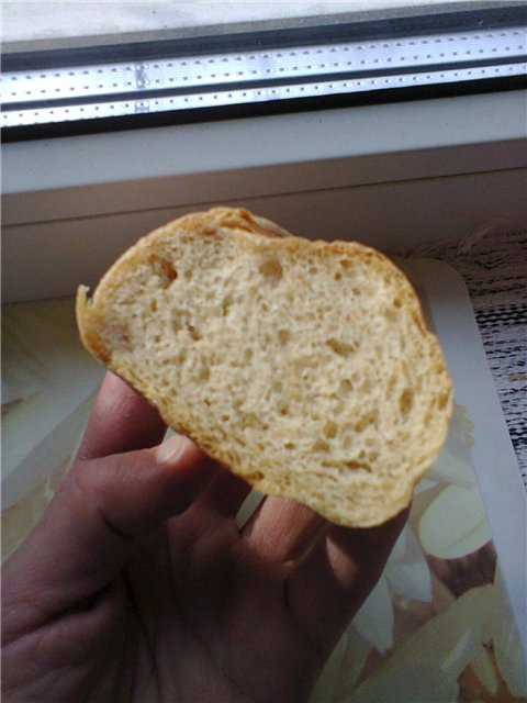 Baguette "istantanee" (3 ore prima)