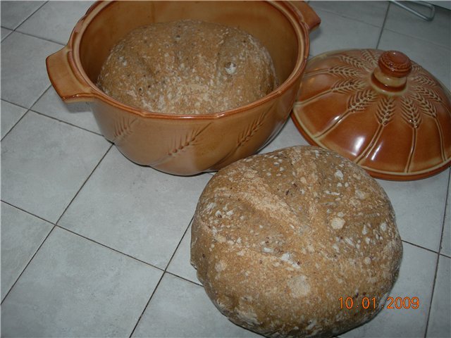 Pan integral de masa fermentada (fórmula SFBI)