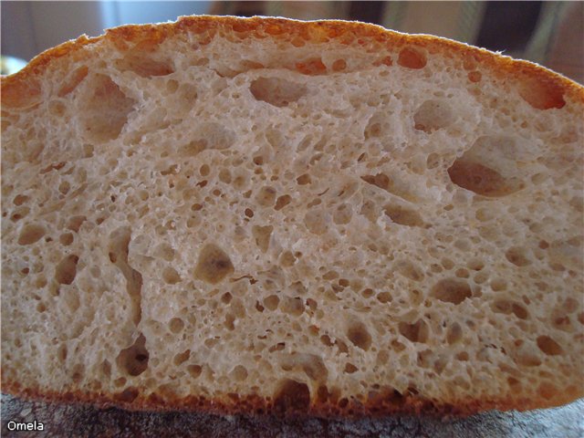 Ciabatta (sin lote)