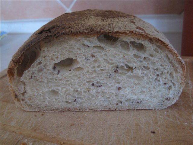 Ciabatta autorstwa Petera Reinharta (na pulish)