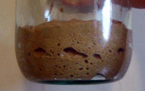 Sourdough rye bread in a bread maker