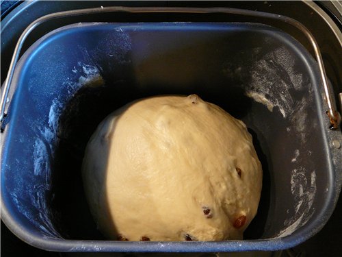 Butter bread with sourdough in a bread maker