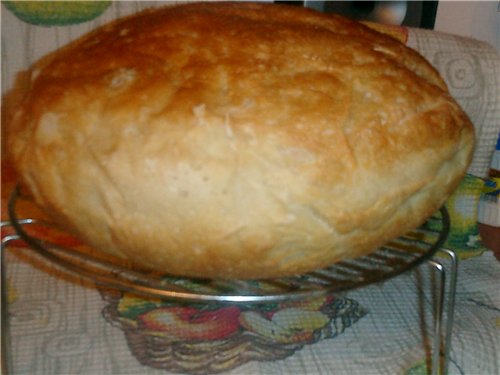 Italian bread (Ann Thibeault) in the oven