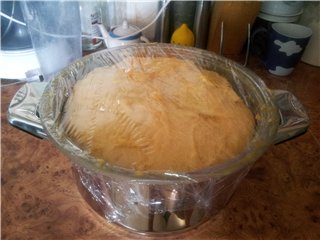 Kulich with Myasoedovskaya in the oven (master class)