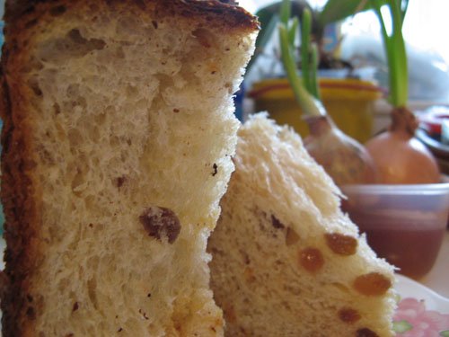 Panettone de Calvel