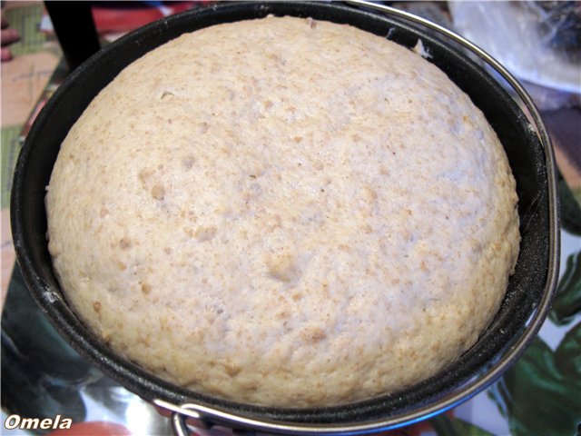 Pan de trigo con queso integral y de masa madre