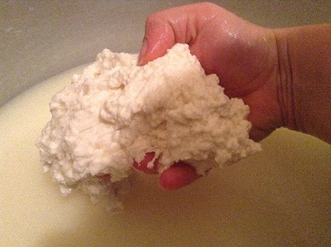 Cream - Mozzarella / Cecil - Ricotta / Philadelphia (master class)