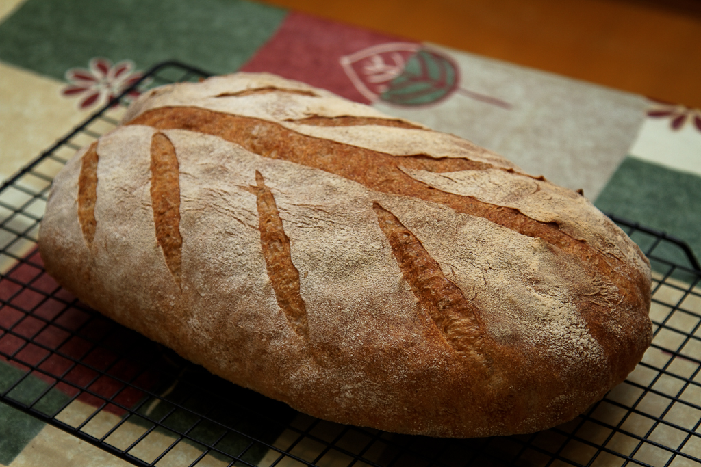 Panino di grano saraceno su una grande borsa (forno)