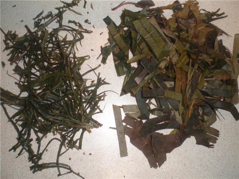 Fermented tea made from leaves of garden and wild plants (master class)