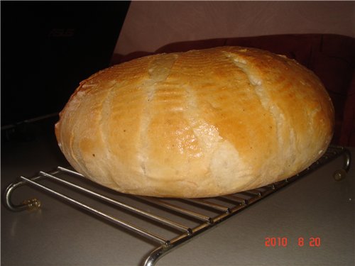 Brood zeven (oven)