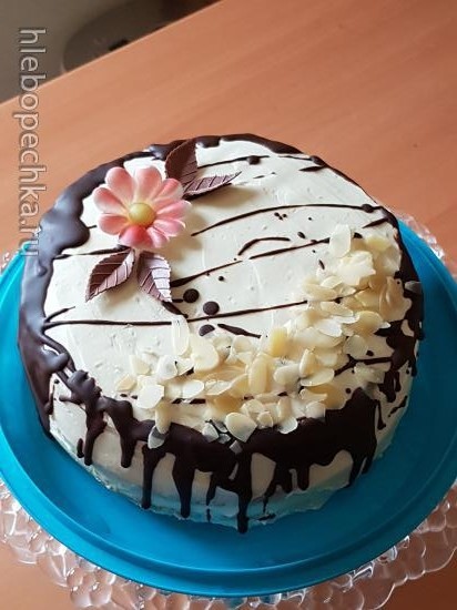 Torta classica (biscotto e crema)