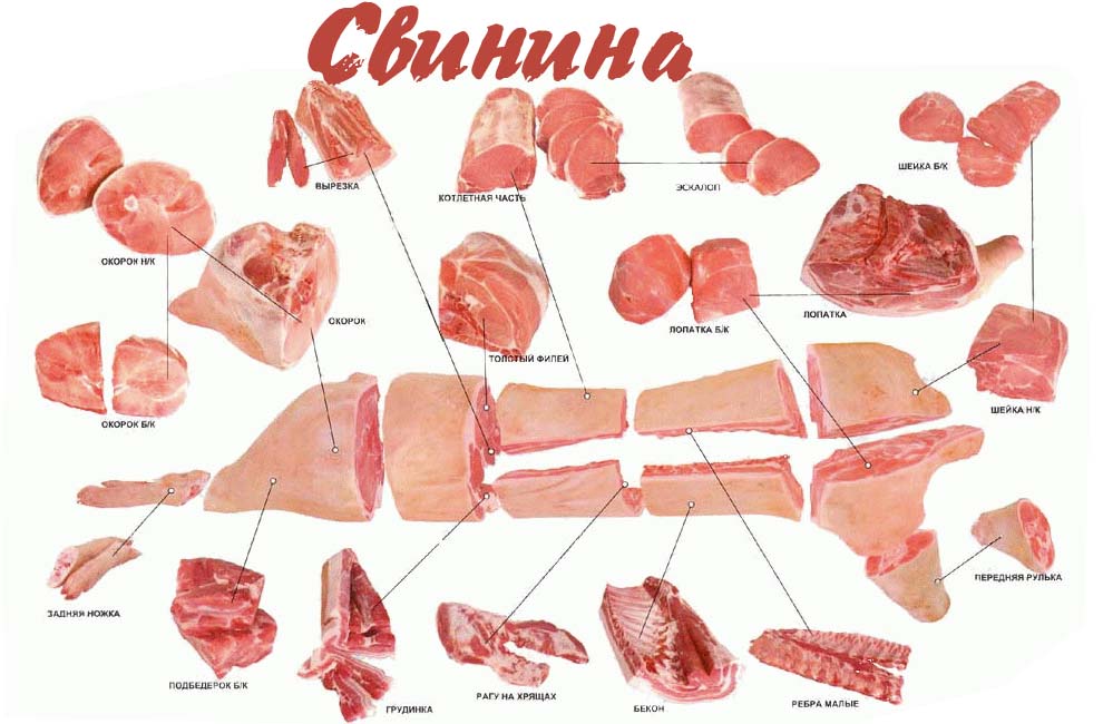 Useful information about meat, cooking