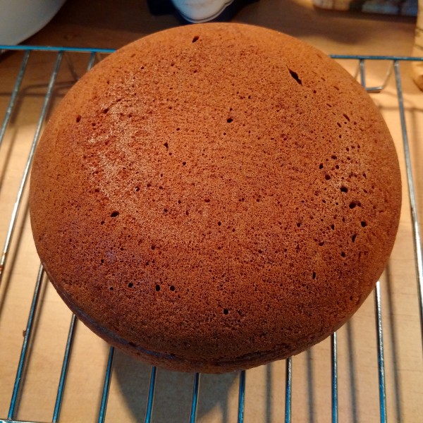 A very simple honey cake from ang-kay for the Philips HD 3060 multicooker