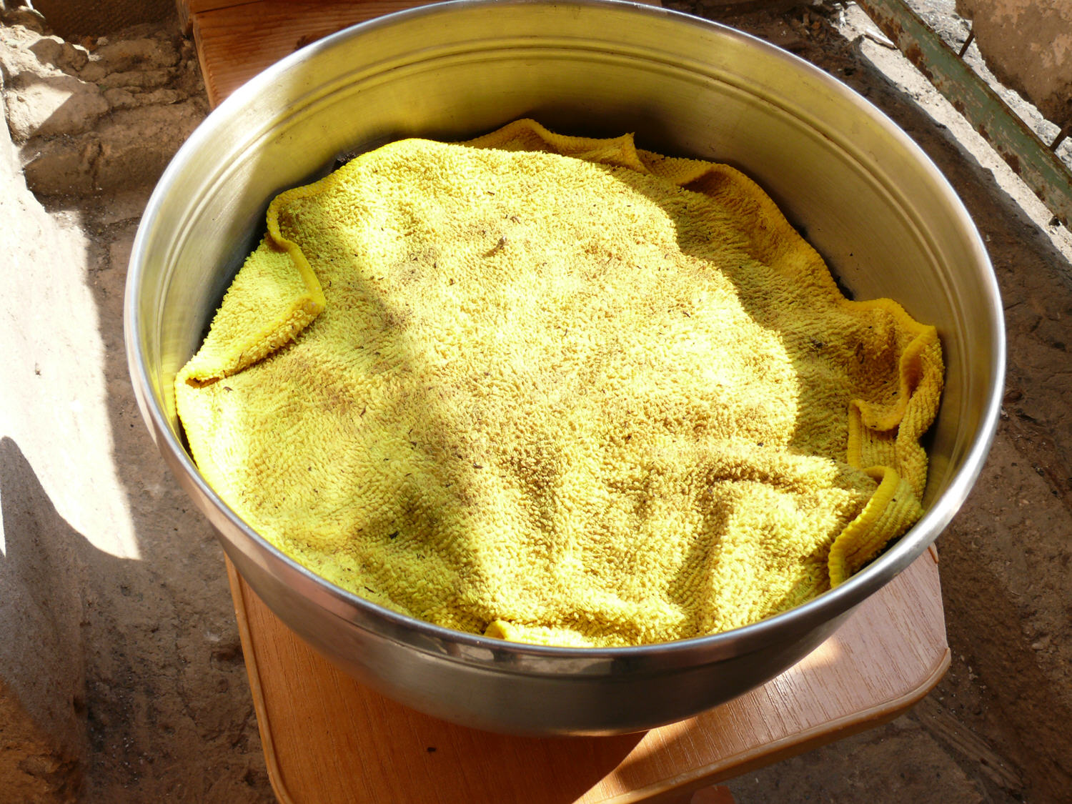 Té fermentado elaborado con hojas de jardín y plantas silvestres (clase magistral)