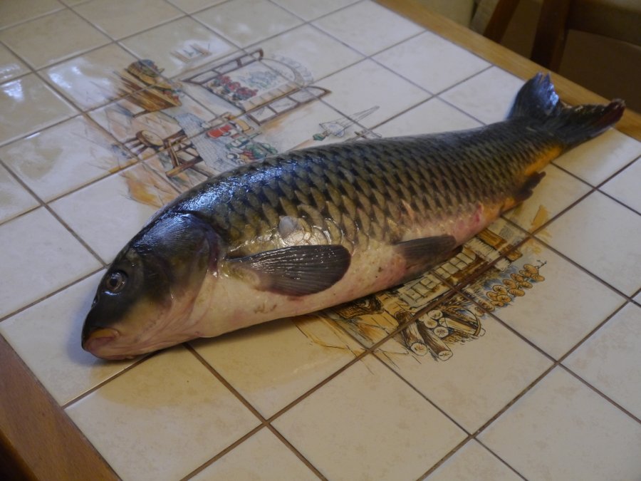 Pescado al estilo Astracán