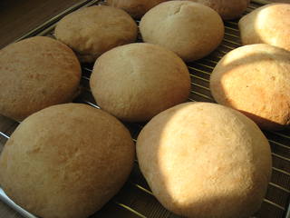 Impasto per tortillas, pizza, khachapuri in 5 minuti al giorno