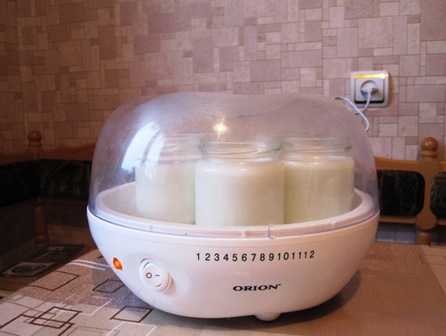 Yoghurt maker - choice, reviews, questions of operation (2)