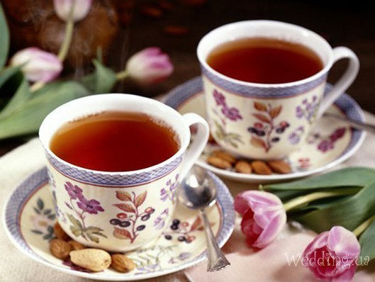 Té fermentado elaborado con hojas de jardín y plantas silvestres (clase magistral)