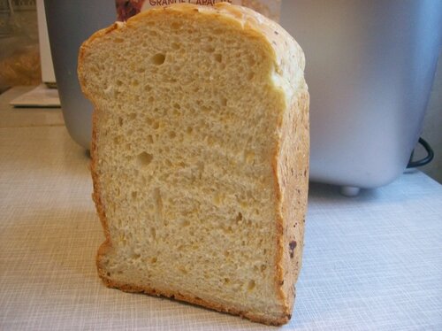 Pane alla cipolla e aneto (macchina per il pane)