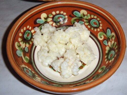 Bolet de kefir tibetà