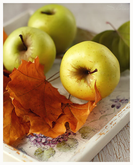 Bánh quy của Apple