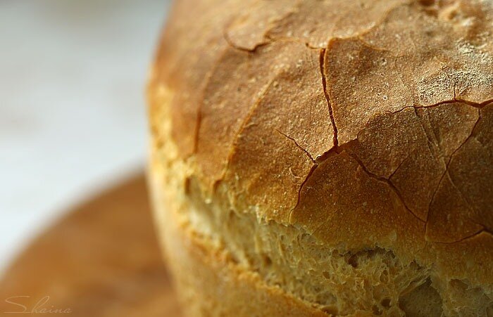 Pane di pizzo (forno)