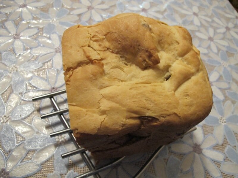 Boterbrood met rozijnen in een broodbakmachine