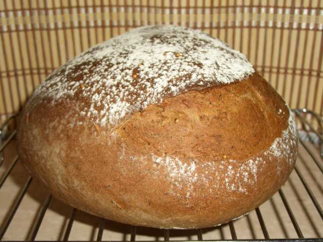 Pane alla contadina con spugna in una macchina per il pane