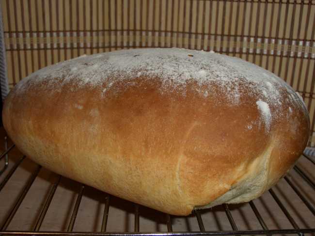 Pane alla contadina con spugna in una macchina per il pane