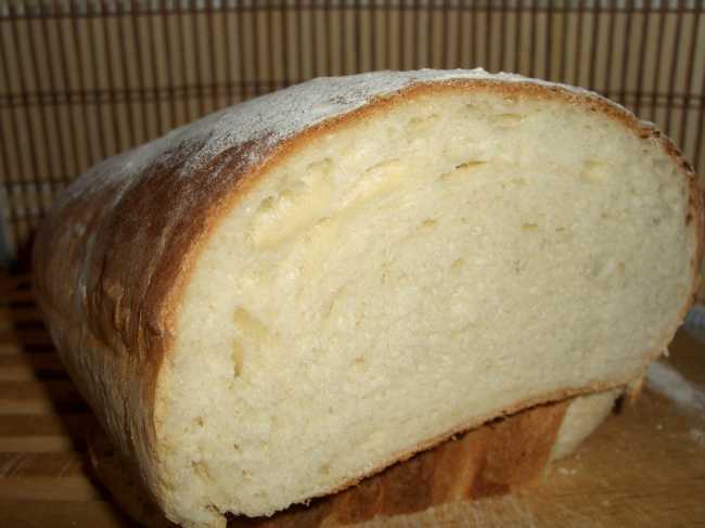 Pane alla contadina con spugna in una macchina per il pane