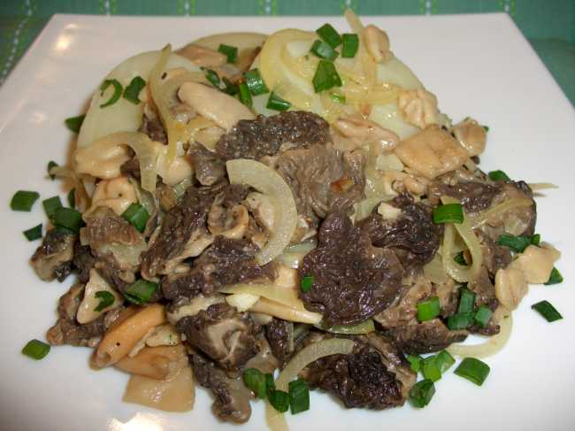 Spring morels, fried with onions