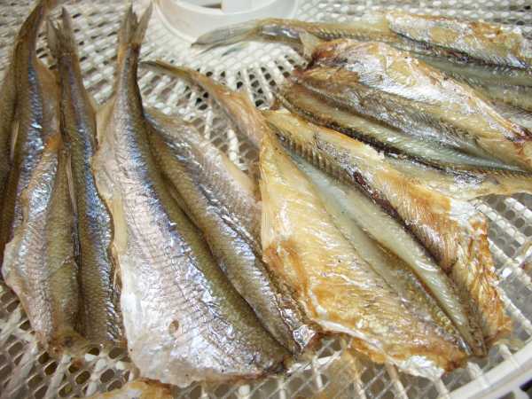 Dried / dried smelt