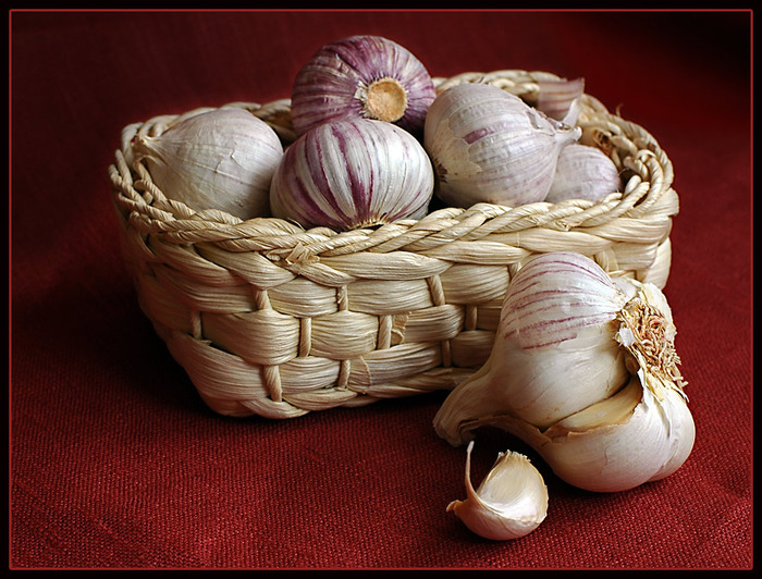 Pane rustico (forno)