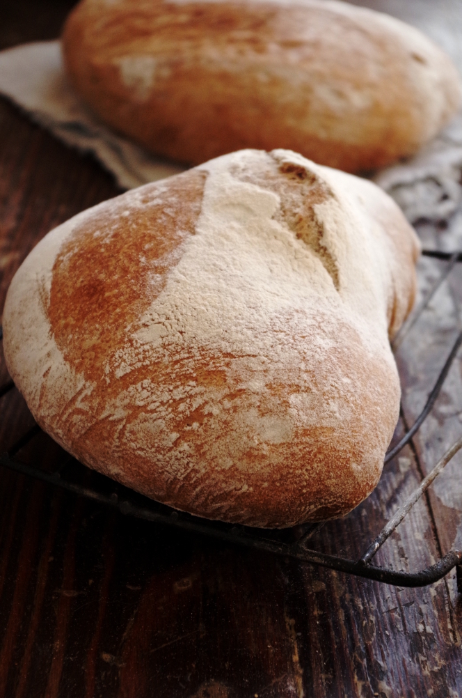 Pasta per il pane: ancora una volta lavorare sugli errori