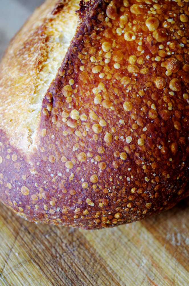 พฤติกรรม Sourdough และขนมปังในฤดูร้อน