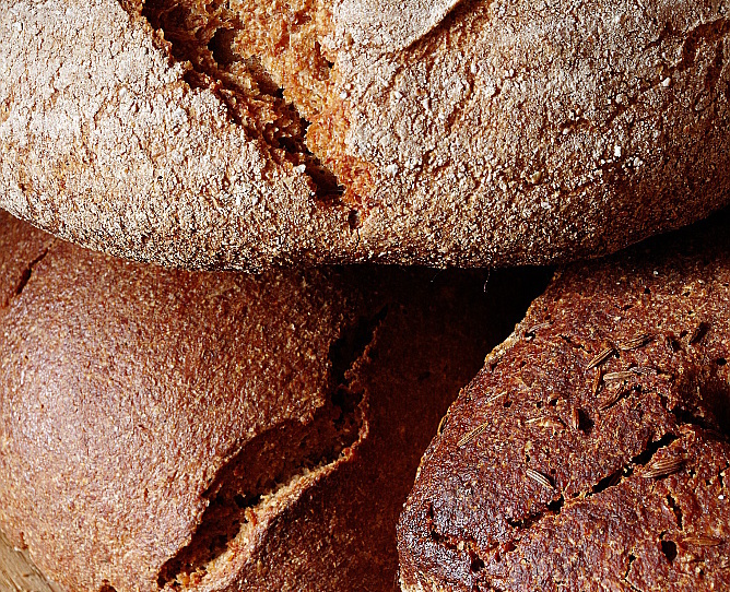 Features of wheat-rye dough