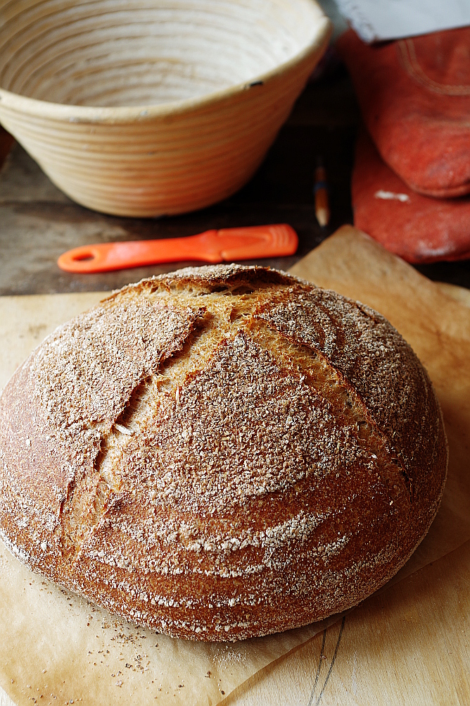 Yeast Biga and Sourdough Biga