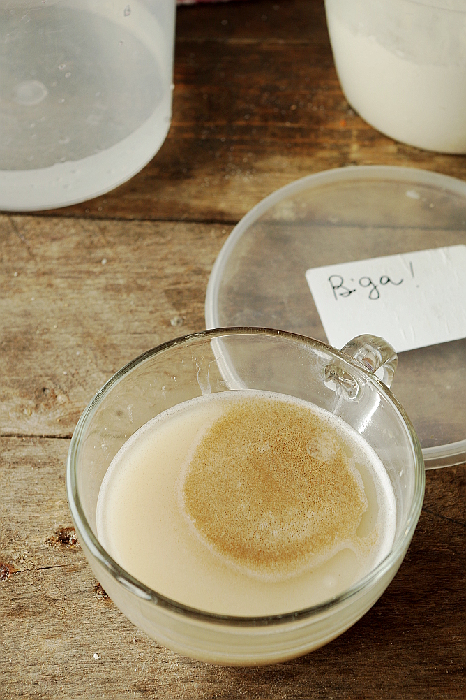 Yeast Biga and Sourdough Biga