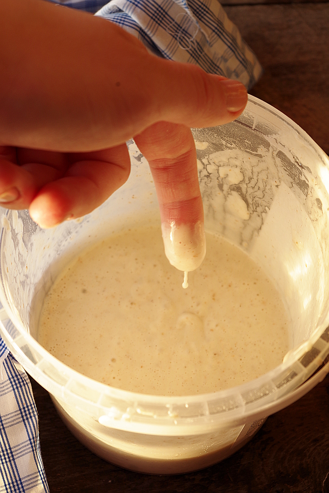 Yeast Biga and Sourdough Biga