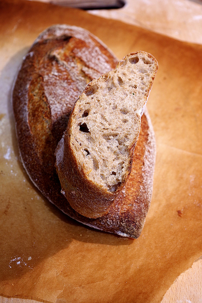 Yeast Biga and Sourdough Biga