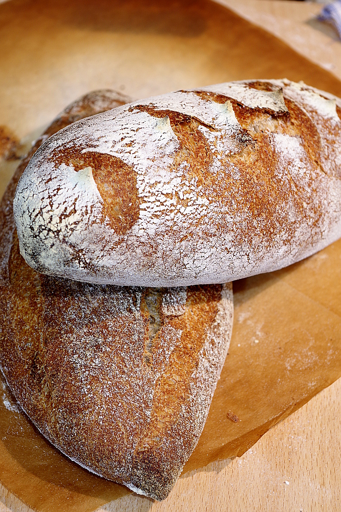 Beast de llevat i Biga de Sourdough