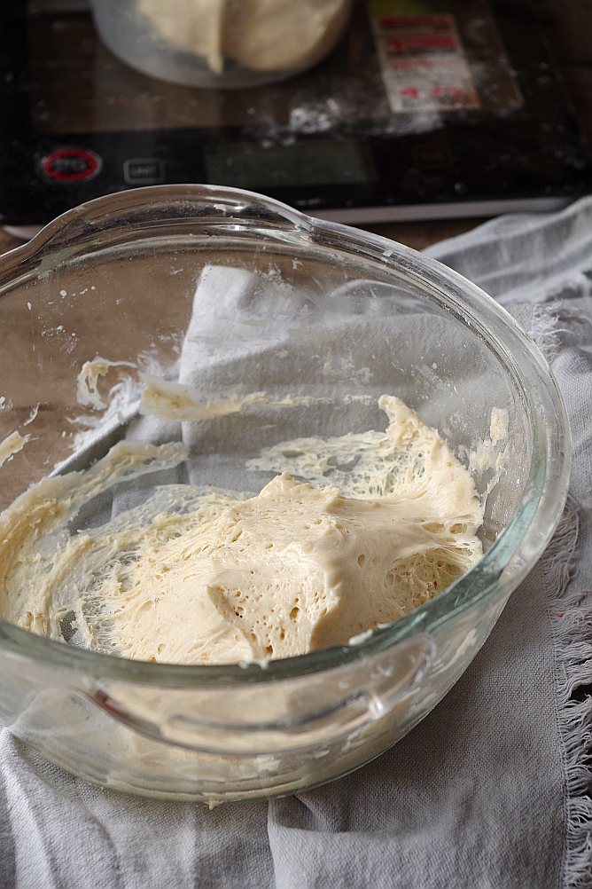 Yeast Biga and Sourdough Biga