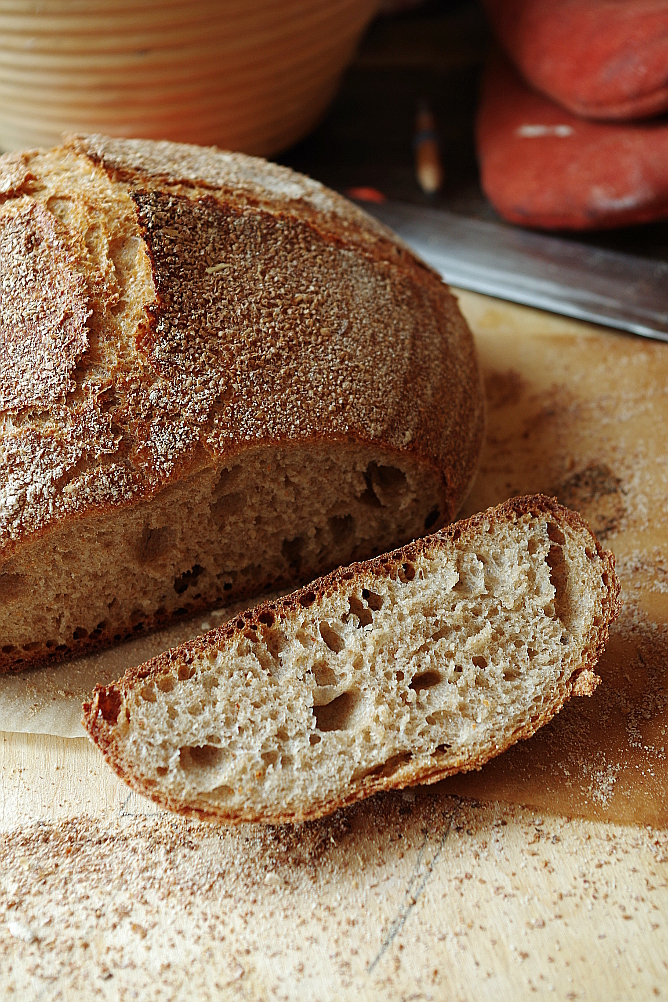 Yeast Biga and Sourdough Biga