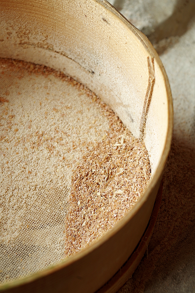 Yeast Biga and Sourdough Biga