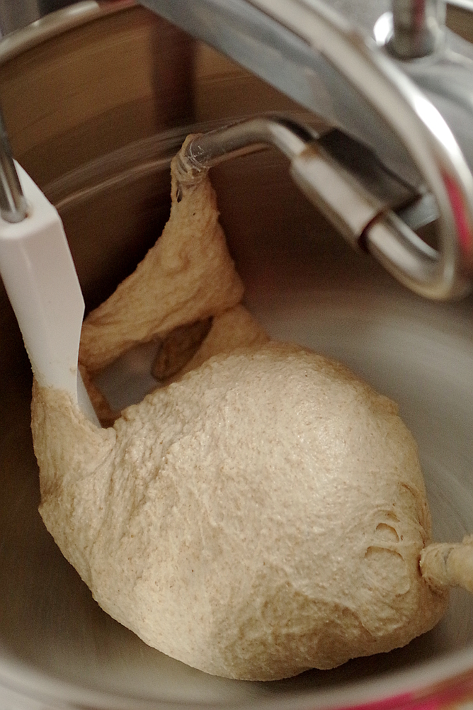 Beast de llevat i Biga de Sourdough