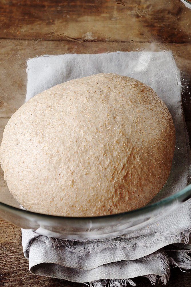 Yeast Biga and Sourdough Biga