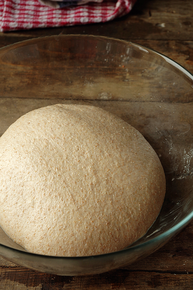 Beast de llevat i Biga de Sourdough