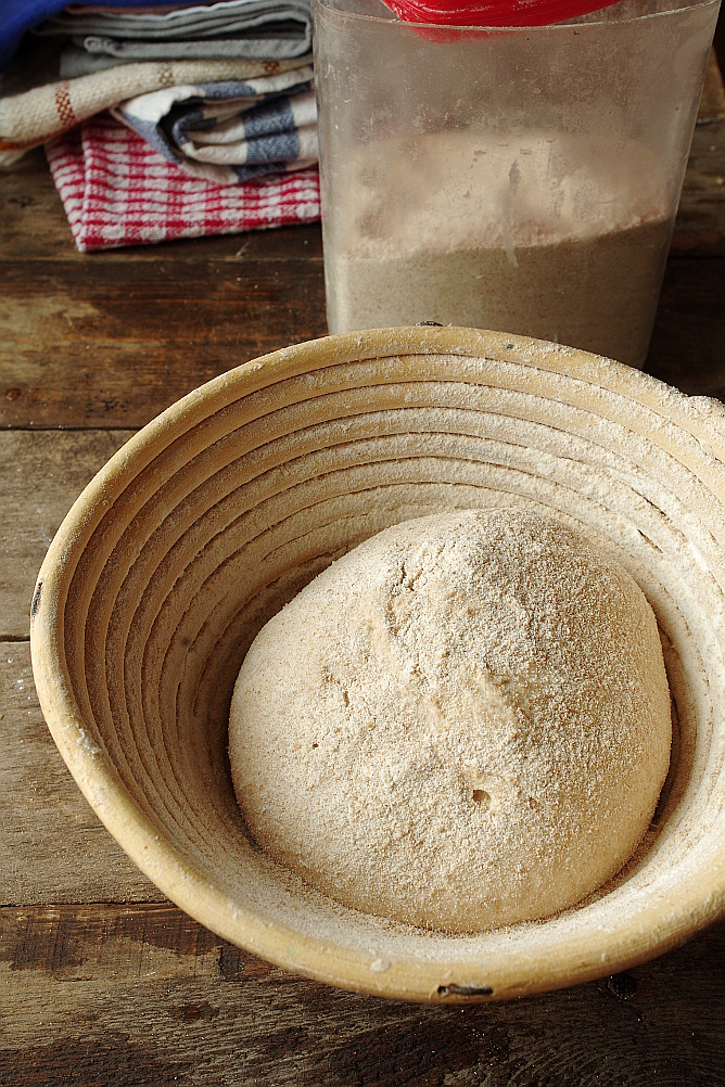 Beast de llevat i Biga de Sourdough