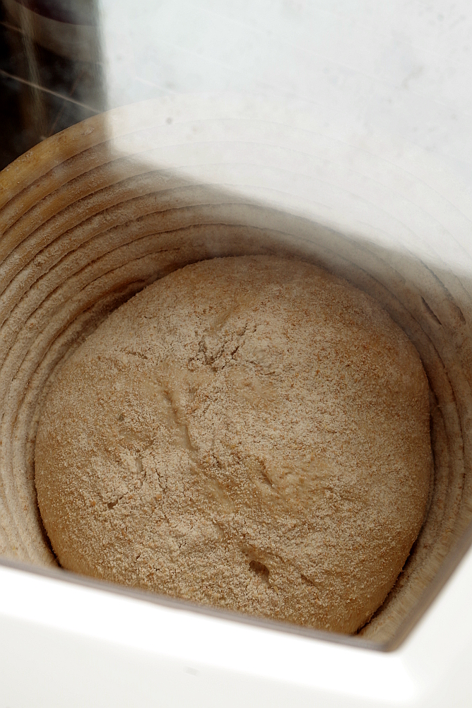 Beast de llevat i Biga de Sourdough