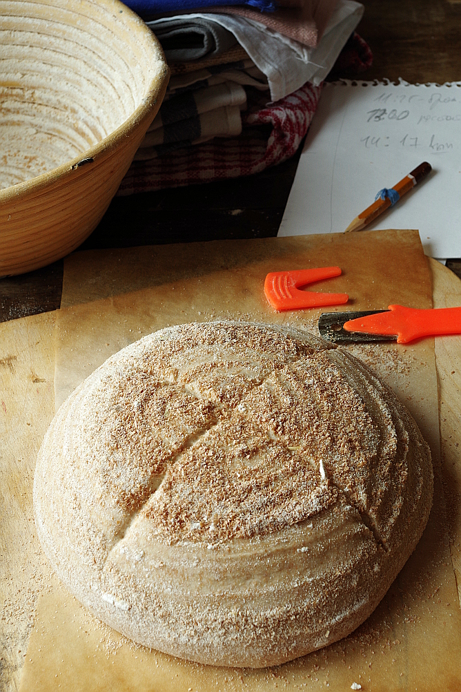 Yeast Biga and Sourdough Biga